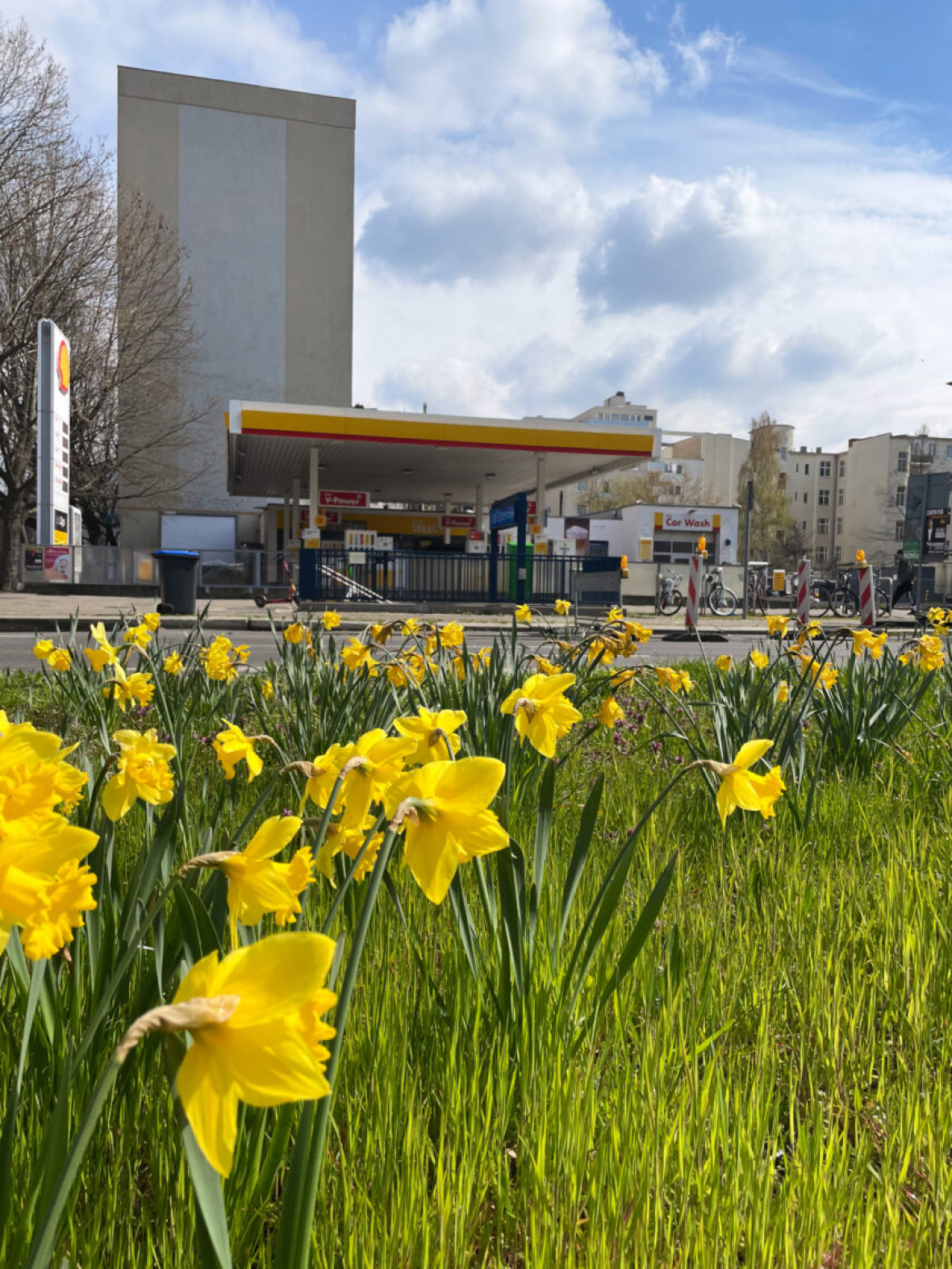 Shell im Frühling, Berlin-Wilmersdorf, 2023.